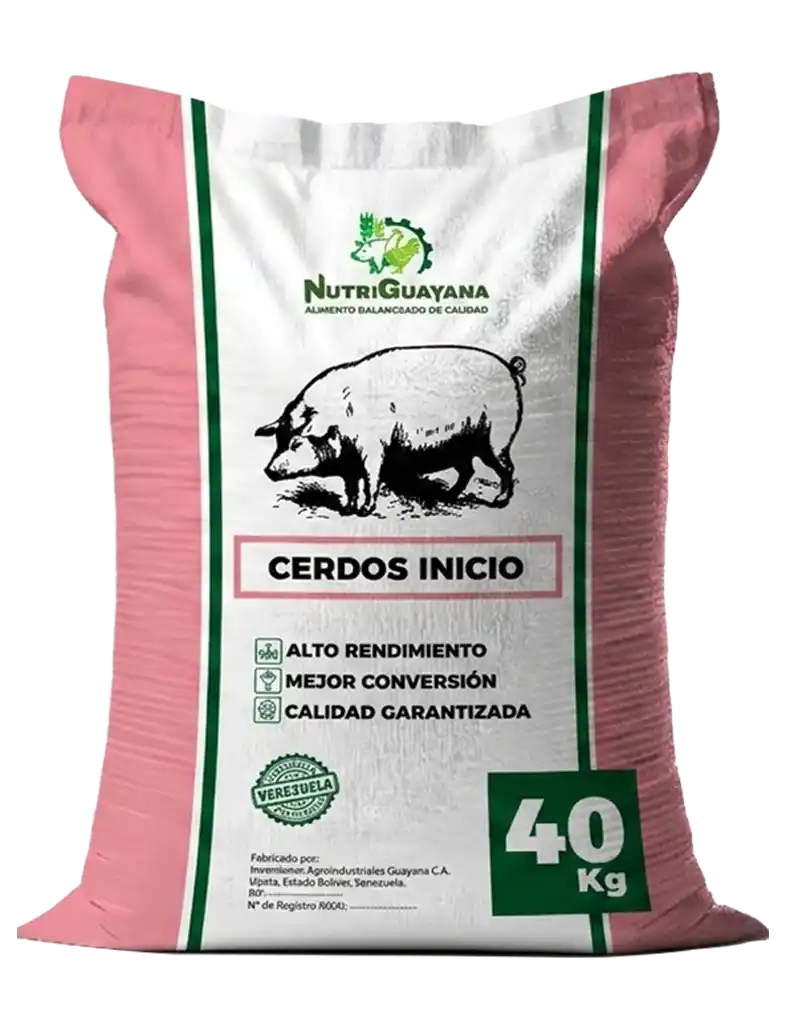 Cerdo Inicio